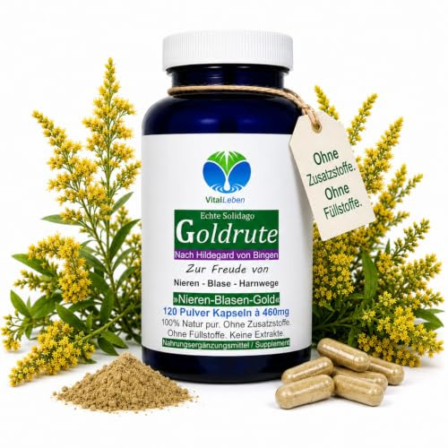 Echte GOLDRUTE Solidago 120 KRÄUTER Kapseln [OHNE ZUSATZSTOFFE] zur FREUDE von NIEREN - BLASE - HARNWEGE [NATUR pur] 26935-120