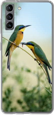 MuchoWow Funda para Samsung Galaxy S21 Plus - Dos abejarucos Enanos con un Fondo Colorido y borroso - Funda de Silicona/Funda Blanda para teléfono móvil