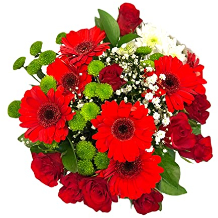 Pet-Jos Blumenstrauß Frisch, bunter Blumenstrauß, Frische Blumen, Inklusive gratis Grußkarte, Flower bouquet, Versenden, Cut flowers, Blumen Chrysanthemum