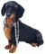 Animal Crackers Sitzende schwarz-hellbraune Dackel Figur aus der Leonardo Walkies-Serie, in hochwertiger Geschenkbox