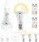 E27 LED Akku Glühbirne mit Fernbedienung 2Stück, Dimmbar Outdoor Lampe (3000K/4000K/6500K), 2600mAh Camping Lampen, Timer Leuchtmittel Sockel&USB Aufladbare Dual-Purpose Für Tischlampe/Camping
