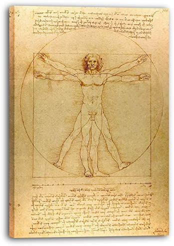 Printed Paintings Leinwand (40x60cm): Leonardo da Vinci - Vitruvianischer Mensch