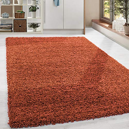 HomebyHome Teppich Wohnzimmer Shaggy Hochflor Terra Rechteckig 160x230 cm Design - Flauschiger Teppich Schlafzimmer Moderne Extra Weich Pflegeleicht im 21 Farben - Carpet Living Room