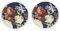 Lesser & Pavey Glass Candle Plates Set of 2 Mirrored 10/20cm Decorative Tealight Display Round Coaster (Rose Blossom Candle Plate)