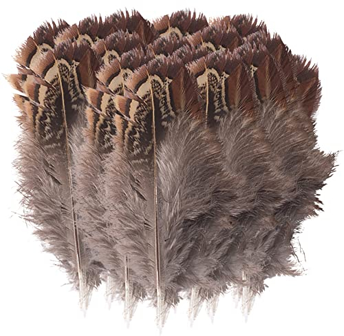 Truthahn Federn, Natur Federn zum Basteln Deko Bastelfeder 5-8cm Länge Truthahn Schwanzfedern Hutfeder für Kostüme basteln Zuhause Dekor DIY