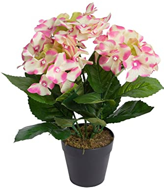 Botanic-Haus künstliche Hortensie/künstlicher Hortensienbusch im schwarzem Kunststofftopf, Farbe: pink-Creme-hellgrün