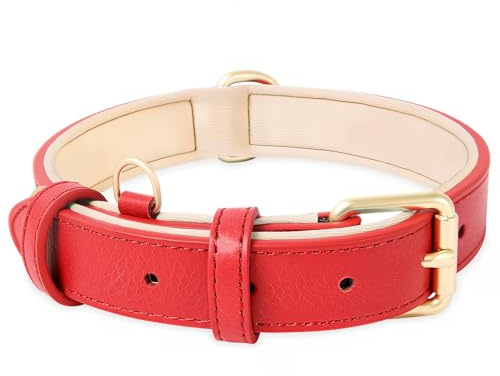 HEELE Hundehalsband Leder Hundehalsband mit gepolstert und echtes Leder, Verstellbar, Halsband für Welpen Kleine Mittel Große Hunde, Neu-Rot, L