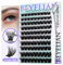 BEYELIAN Self Adhesive Lash Clusters 100Pcs, D Curl 10-16mm Press On Lashes with Tweezer Kits, No Glue Needed Wispy Lash Clusters DIY Self Stick Eyelashes