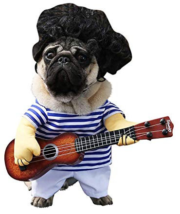 Haustier Hund Gitarre Kostüm mit Perücke lustige Sängerin süße Katze Kleidung für Halloween Weihnachten Cosplay Party