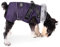 Dociote Hundemantel Hundejacke mit abnehmbarem Geschirr & Klettverschluss gefütterter & wasserdichter Wintermantel Winterjacke für kleine mittelgroße Hunde Lila 2XL