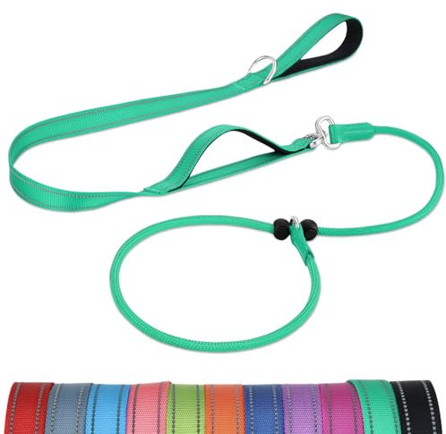 Joytale Doppelter Griff Retrieverleine mit Zugstopp, 1,8m Verhedderungsfreies Trainingsleine für Hunde, Reflektierend Führleine aus weichem Nylon für Kleine und Mittlere Hunde, Türkis