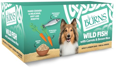 Burns Pet Natural Nutrition Adult & Senior Wet Dog Food Wild Fish, Carrots & Organic Brown Rice, 12 x 150 gm