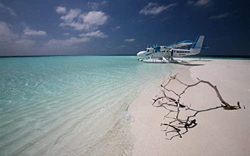 Puzzle 1000 Teile Landschaft Und Reise Puzzles: Malediven Flugzeug Strand Meer