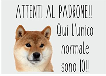 NEW CARTELLO SEGNALETICO - SHIBA INU Attenti al padrone qui l'unico normale sono io - Adesivo Extra Resistente, Pannello in Forex, Pannello In Alluminio (ADESIVO 20X31 CM)