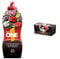 NUTRI 1 ONE NutriONE Concime concentrato per Piante e Fiori, 1 litro, 1000 unità & One Concime concentrato per Orchidee in Grado di farle fiorire e prolungarne la Durata, Scuro
