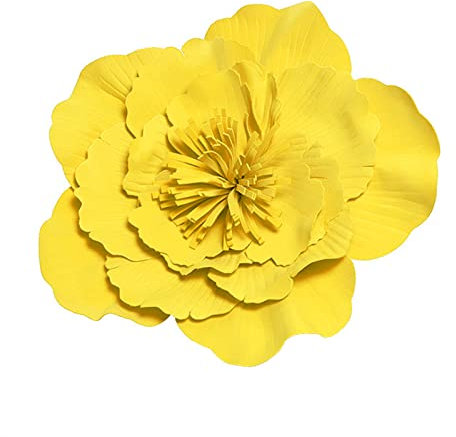 Amsixo Fascinator Mit Blume, Große Hüte für Damen, Blumen-Stirnband, Kostüm, Kopfbedeckung, Haarbänder