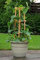 Potseed Hosta 10 Samen Samen Mischung Funkien