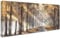 Sonniger Brauner Waldbaum Mit Rahmen Leinwand Bilder Bild auf Leinwand Malerei Poster Foto Bild Wandbilder Heimbüro Restaurant Wohnzimmer Schlafzimmer Wanddekoration Bereit zum Aufhängen 50x120cm