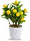 Focenat Mini Limonero en Maceta,Pequeño bonsái de limón Amarillo,Simulación de limón bonsái,Decoración de Plantas de Limonero Artificial,Limonero Artificial en Maceta,para Cocina,hogar,jardín,Granja