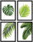 PICSonPAPER Poster 4er-Set BLÄTTER, schwarz gerahmt 30 x 40, Dekoration für Wohn- und Arbeitsräume, Monstera, Palmen, Kunstdruck, Wandbild, Poster mit Rahmen, Geschenk