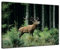 Keilrahmenbild Hirsch - 120x90 cm quer Groß Bilder als Leinwanddruck Fotoleinwand Tierbild Waldtier - Rotwild - röhrender Hirsch im Wald