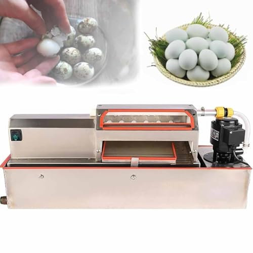 Máquina peladora comercial de huevos de codorniz con pulverización de agua automática, capacidad de 70 kg/h para un descascarillado eficiente y rápido