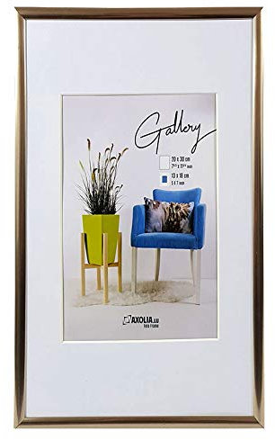 Axolia Cadre Photo 20x30 cm en plastique avec verre minéral - Décoration murale - Gallery - Champagne