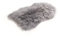 Cakla Lammfell Echt 120-130 cm - Schaffell Echt Groß - Fellteppich - Weich und Flauschig - Fell für Stühle - Lammfell Teppich - 100% Bio - Schafsfelle - Dekofell - Schafsfell Felle - Deko Fell