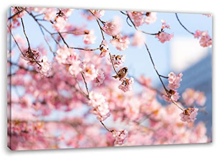 Quadri Fiori Fiori di Ciliegio Fiori. Quadri su Tela Fiori. Stampe da Parete con Fiori. Quadro da Parete Paesaggio Natura. Moderni Quadri per Salotto Decorazione 60x90cm(23.6x35.4) Senza Cornice