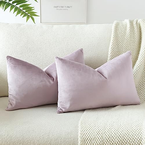 JOTOM Set of 2 Velvet Soft Solid Cushion Covers 30x50 cm Decorative Throw Pillow Covers Soft Lumbar Cushion Case Couch Home Decor Throw Pillow Cases for Sofa Bedroom 12x20 Inch (Lilac)