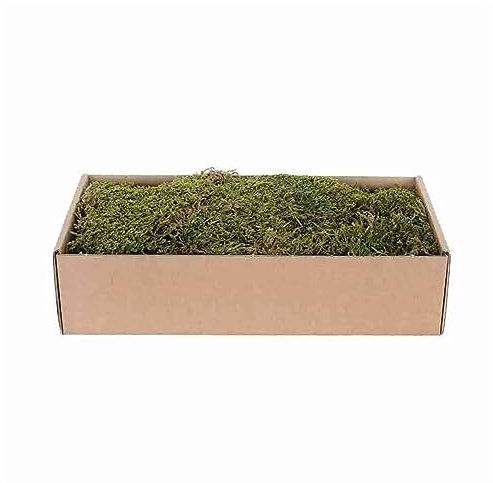My Village Muschio Piatto essiccato Artificiale/Sintetico Verde/Marrone per Villaggio Natalizio, presepe 500 gr