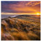 Vliestapete Premium - Schweizer Almwiese mit Kuh - Fototapete Quadrat Vlies Tapete Wandtapete Wandbild Foto 3D Fototapete, Größe HxB: 336cm x 336cm