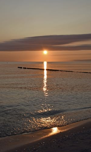 Rasch Tapete 364682 - Fototapete auf Vlies mit Meer und Sonnenuntergang in Blau und Orange aus der Kollektion Magicwalls - 2,65 m x 1,59 m (LxB)