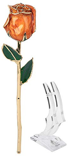 Aramox Fleur Rose en Or 24K