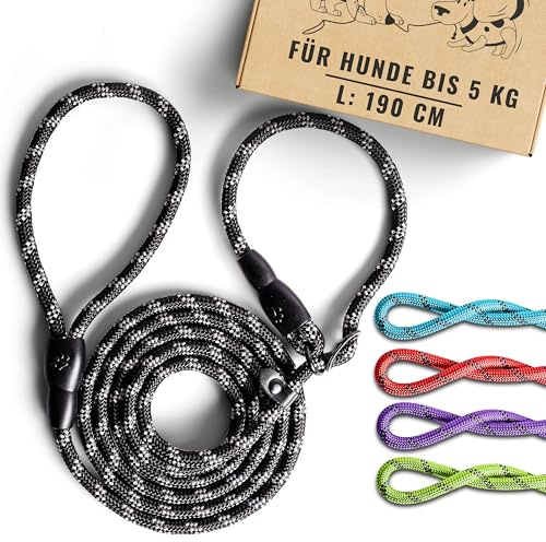 rootsnoot Retrieverleine – 190 cm lang, 0,8 cm stark, für kleine Hunde bis 5 kg – leichte Moxonleine & Schlupfleine – Halsband und Leine in einem
