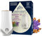 Glade Aromatherapy Electric Scented Oil Duftspender + Nachfüllpack Moment of Zen, Lavendel und Sandelholz, 20 ml