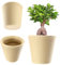 KADAX Blumentopf, Blumenkübel aus Kunststoff in 3 Farben, Pflanzkübel, witterungsbeständiger Blumenkübel mit Mattoberfläche, Outdoor-Pflanzkübel (Creme ø 35cm)