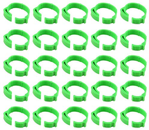 Taubenringe, Vogelfußringe, Hühnerbeinring, 100 Stück/Set Hühnerring, Henne, Taubenbeinband, Geflügel, Taube, Vögel, Wachtel, Gans, Küken, Ente, Papagei, Clip-Ringe, Rosa, Einheitsgröße (Farbe: Rosa,