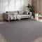 BEIMO Waschbarer Teppich Wohnzimmer Kurzflor Anti-Rutsch Unterseite Uni Modern Design Teppich Weich rutschfest für Esszimmer, Kinderzimmer und Schlafzimmer, Grau 200X280CM