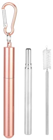 Dioche Paille de Cocaïne Paille Télescopique Portative en Acier Inoxydable - à Boire Réutilisable avec Brosse de Nettoyage pour café, thé au Lait, Smoothies - et Portable (Rose)