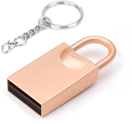 leizhan Clé USB 3.0, Mini clé USB, clé USB pour Voiture, clé USB avec Porte-clés pour PC, Ordinateur Portable, etc. (64GB, Serrures Dorées)