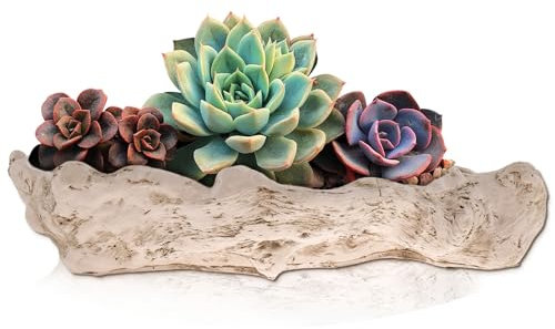 Pots de fleurs créatifs en bois flotté avec trou de drainage, décoration réaliste en résine en forme de souche, cactus pour la maison, les petites plantes succulentes (style A)