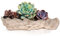 Pots de fleurs créatifs en bois flotté avec trou de drainage, décoration réaliste en résine en forme de souche, cactus pour la maison, les petites plantes succulentes (style A)