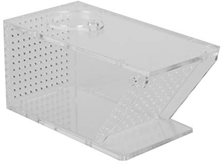 Yosoo Health Gear Aquarium Falle, Einweg Krabben und Garnelen Fänger Box