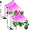 COKOLILA 2 Pack 2 Köpfe Pflanzenlampe LED, 160 LEDs 460nm/660nm/6500K Vollspektrum Grow Light, 3 Lichtmodi Pflanzenlicht mit Auto ON & Off Timer 6/12/18H, 5 Helligkeit, ideal für Pflanzen