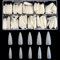 Stiletto Nail Tips Full Cover Acrylic False Nail Tips 500PCS Long Nails with Case for Nails Salon,10 Sizes