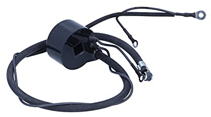 Bobina D'accensione per Decespugliatore, Ignition Coil Sostituzione Modulo Motore Accessori Ricambio Professionali Durevole Ricambi Motoseghe Tagliaerba Parti Compatibile con Motori Adatto K141 K161