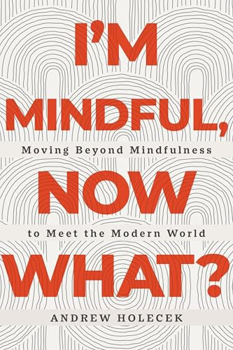 I'm Mindful, Now What?: Moving Beyond Mindfulness to Meet the Modern World (English Edition)