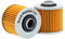 Road Passion Filtro Olio per YAMAHA TDM850 850 1991-2002 TDM900 2002-2014 TDM900A 2007-2014 TRX850 850 1996-2000 (2 per pacchetto)