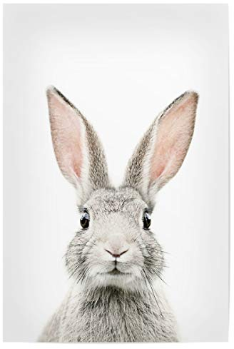 artboxONE Poster 30x20 cm Tiere Baby Bunny hochwertiger Design Kunstdruck - Bild Bunny Rabbit